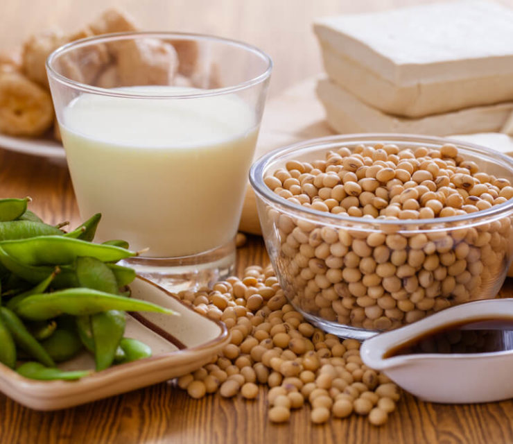 Soy bean, tofu and other soy products