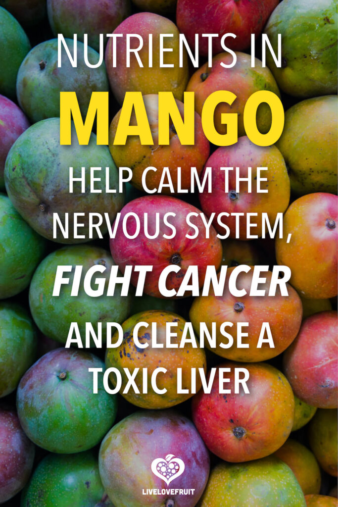fresh florida mangoes with text - nutrients in mango help calm the nervous system, fight cancer, and cleanse a toxic liver