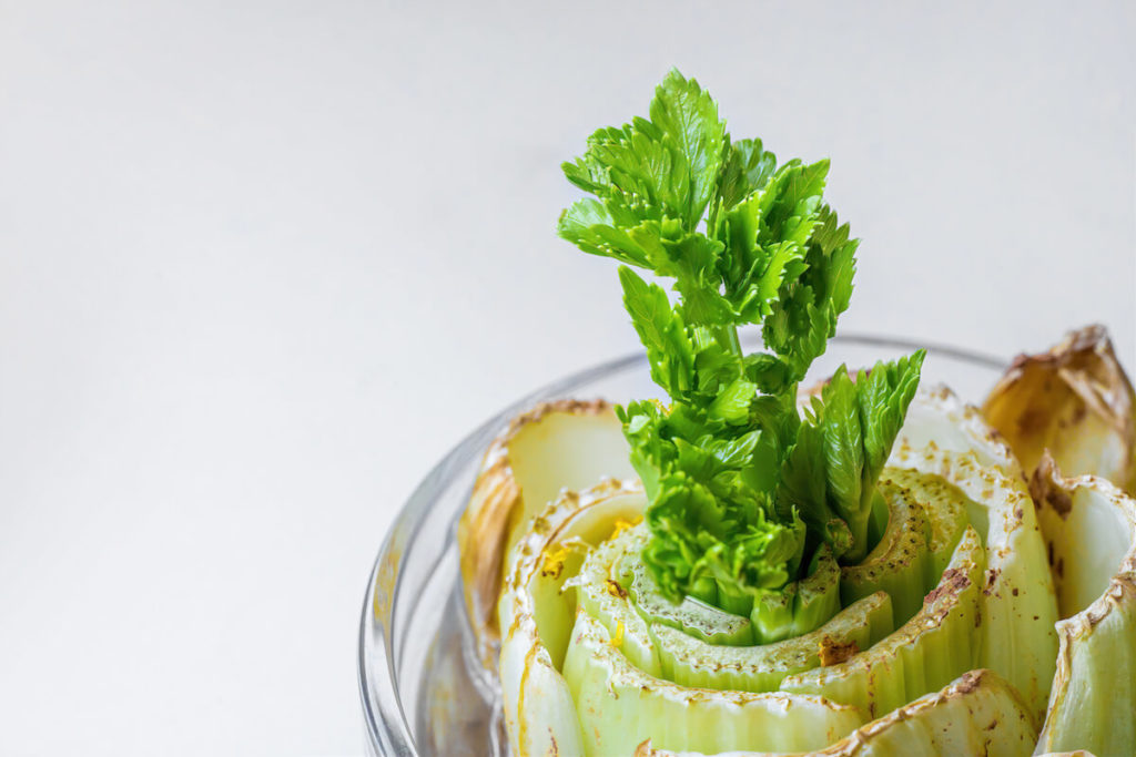 celery sprouting from base