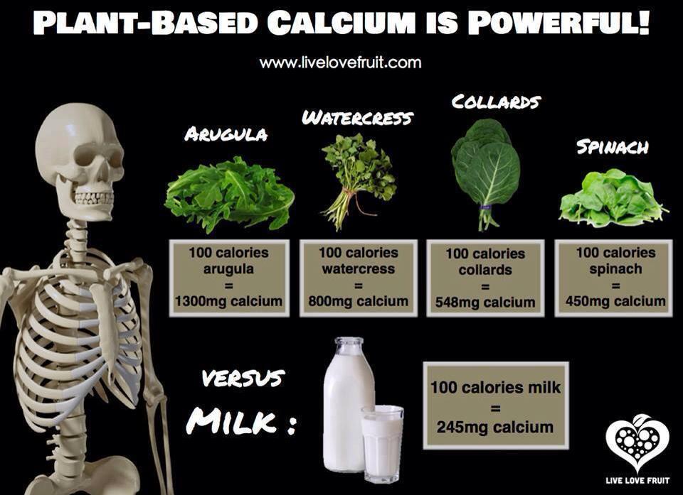 calcium-rich plant foods