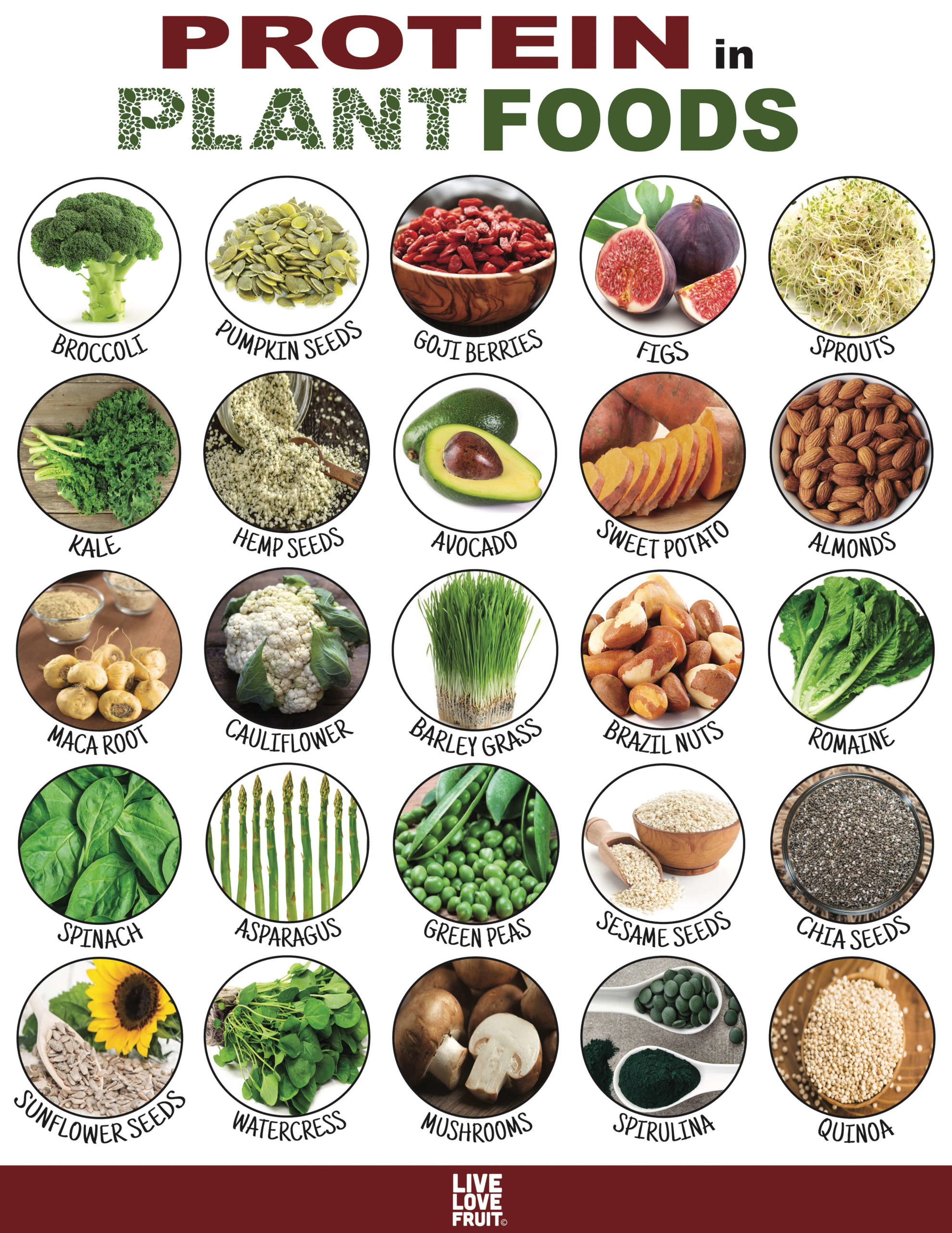 Plant Protein: Your Guide To 24 Protein-Packed Plant Foods!