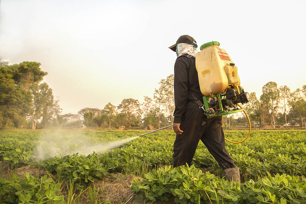 man spraying crops with pesticides