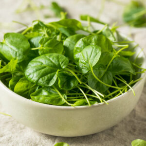 Raw Green Organic Watercress in a Bowl