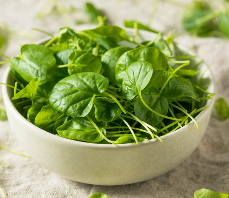 Raw Green Organic Watercress in a Bowl