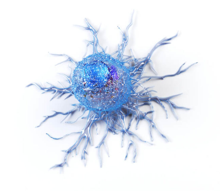 cancer cell on white background