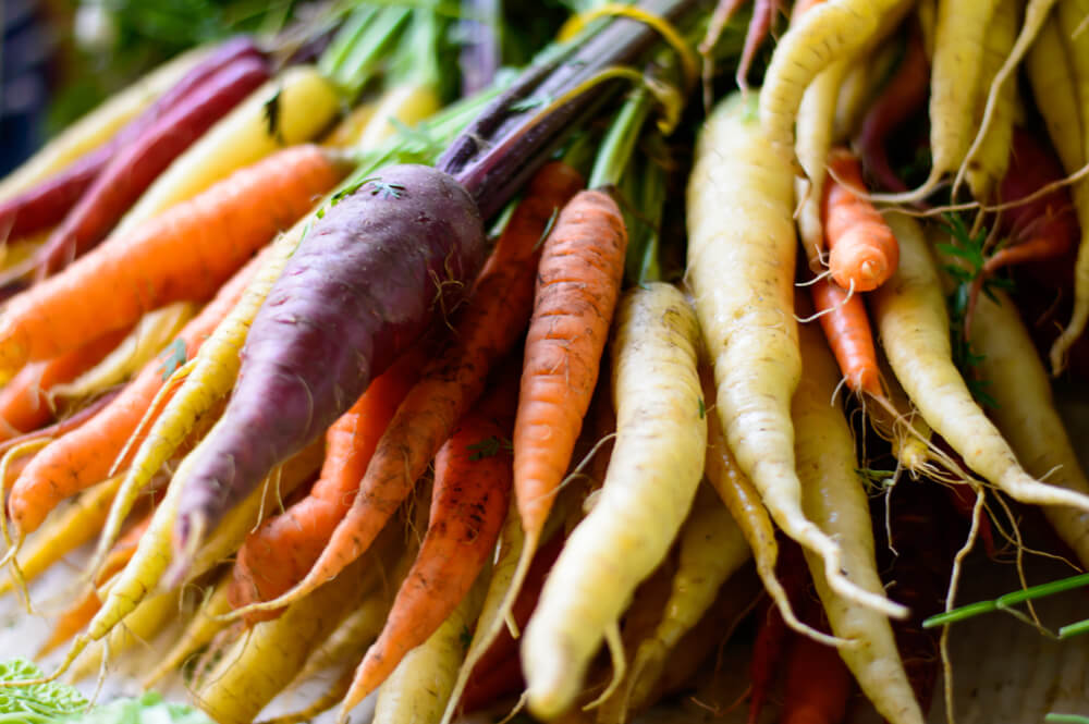 beautiful fresh market organic carrots in different colors, purple, white, orange red carrots