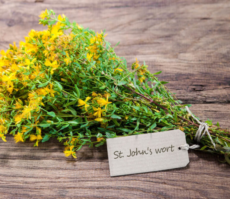st. john's wort herb on wooden table