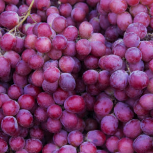 red grapes in a bunch