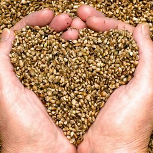 health benefits of hemp seeds
