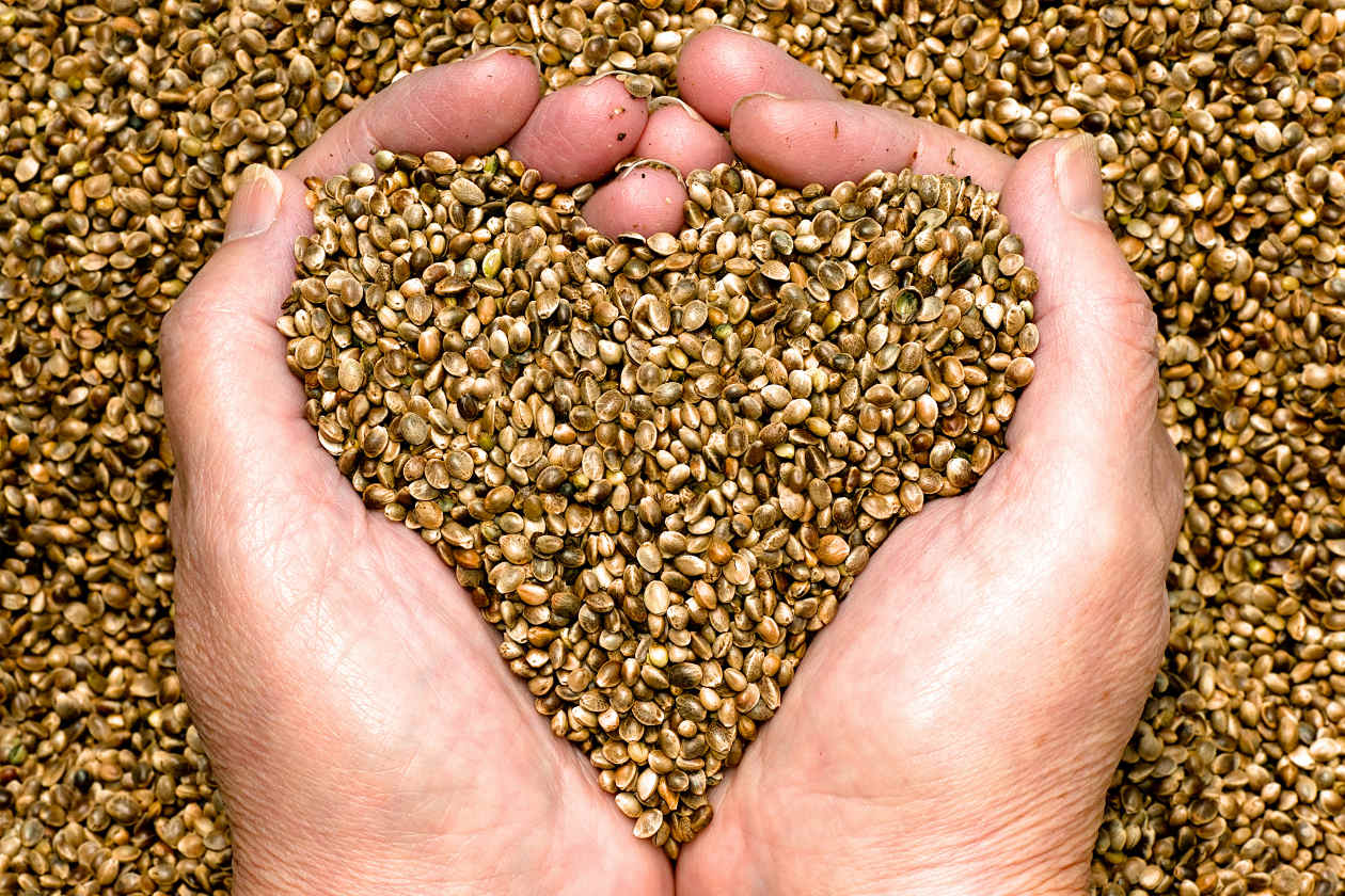 health benefits of hemp seeds