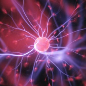neurons in brain close up