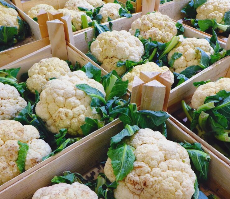 fresh cauliflower in boxes