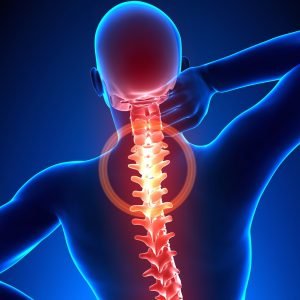 spinal nerve function