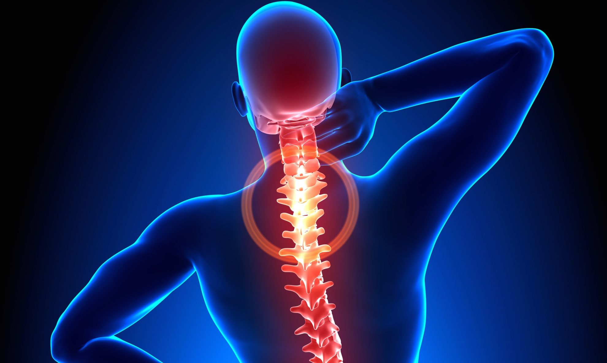 spinal nerve function