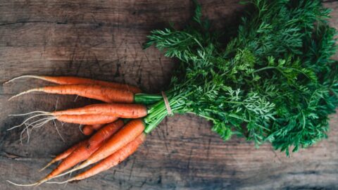 Orange carrots on a wooden background. Bunch of organic dirty fresh carrots with greens close up.