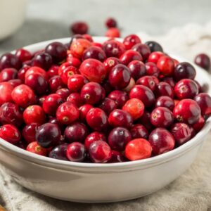 Organic Raw Red Cranberries in a Bowl Ready to Use