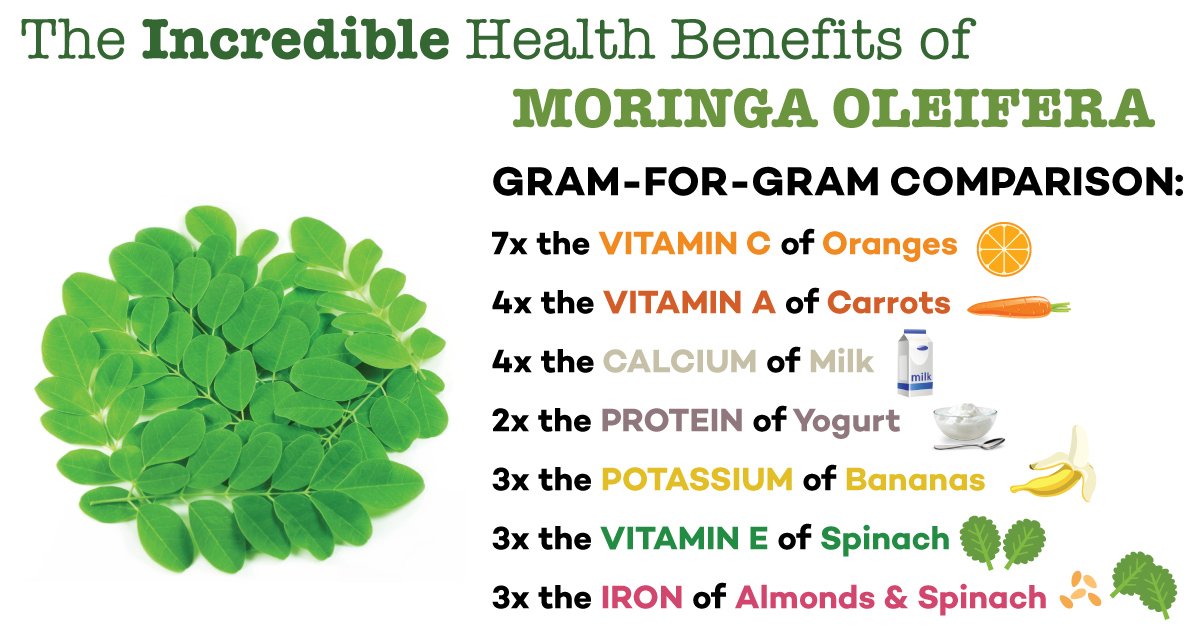 Tiny Leaves Enormous Benefits Why You Need To Start Eating Moringa.