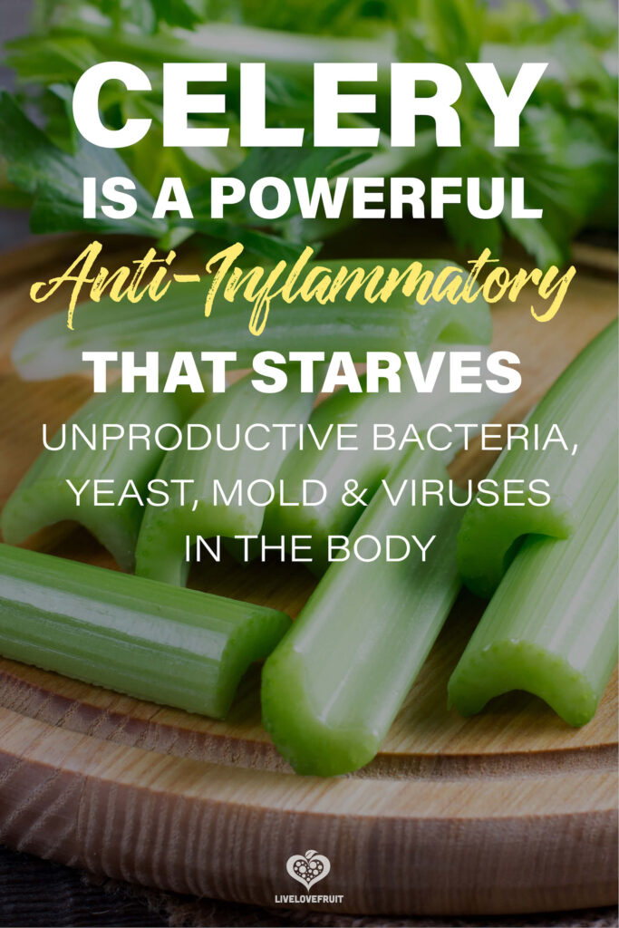 celery on wooden table with text celery is a powerful anti-inflammatory that starves unproductive bacteria, yeast, mold & viruses in the body