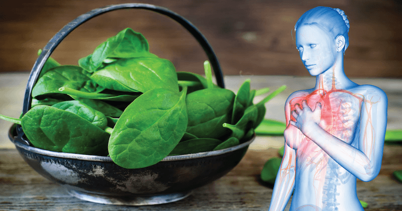 magnesium-rich plant foods