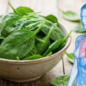 Conceptual health image combining nutrition and human anatomy. A realistic bowl of fresh leafy greens (spinach) on a rustic wooden surface, photographed in soft natural light. To the right, a semi-transparent blue human anatomical figure with visible internal organs and circulatory system highlighted in red at the chest and upper torso.