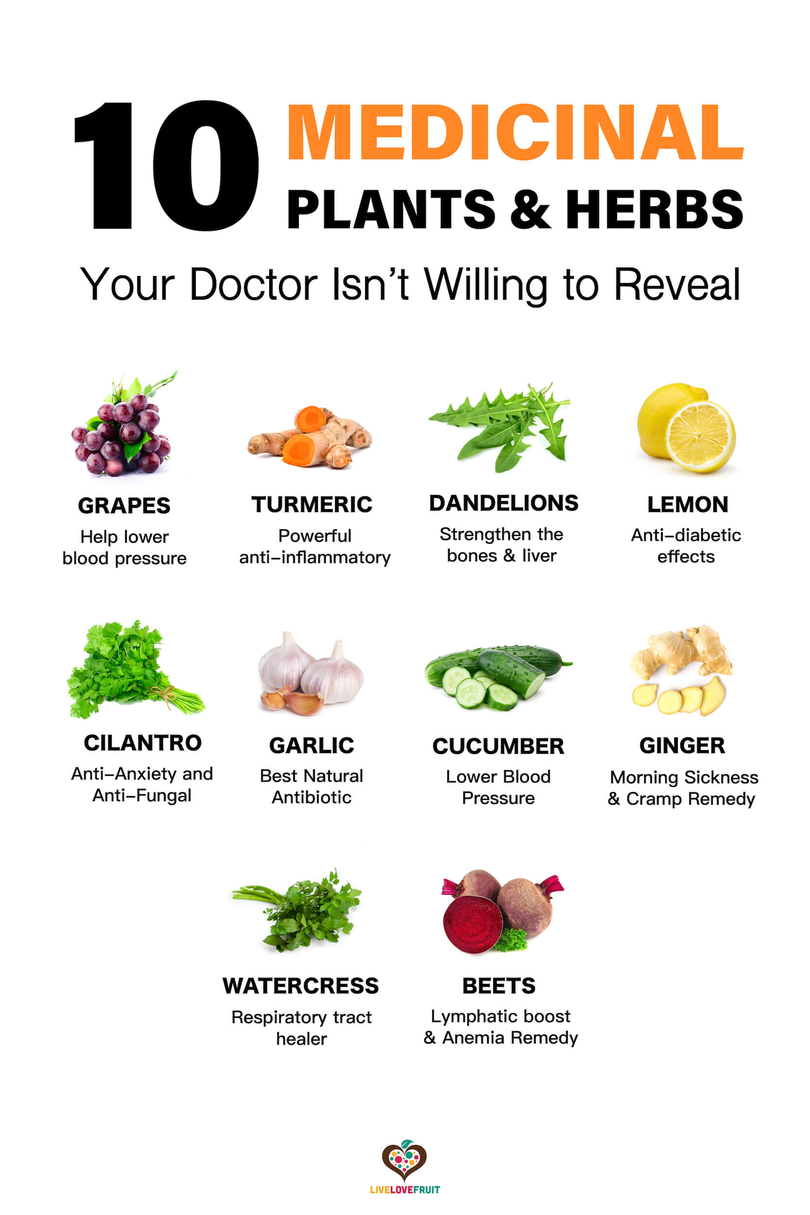 Visual graphic of medicinal plants and herbs that help heal the body with text - 10 medicinal plants and herbs your doctor isn't willing to reveal