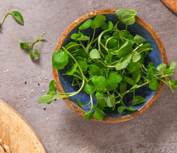 Raw Green Organic Watercress in a Bow, top view.