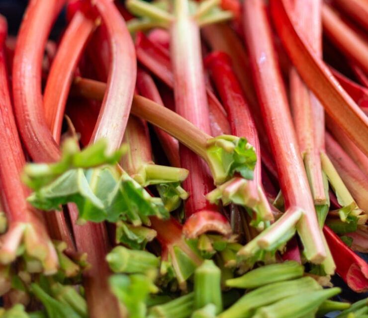 A closeup of a bunch of vibrant red stalks of rhubarb for sale at a farmer's market. The raw root vegetable is sour tasting, tarty, crunchy and ripe. The rhubarb has small green leaves at the top.