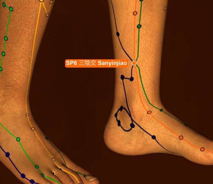 Acupuncture Point SP6 Sanyinjiao, 3D Illustration, Brown Background