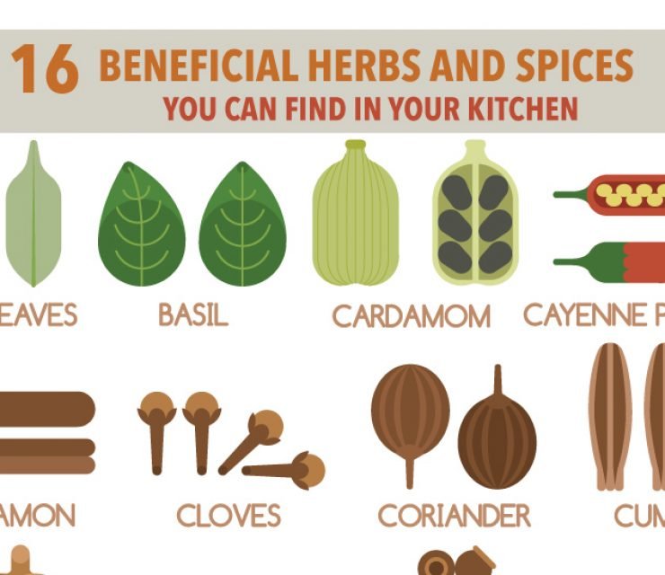 Most Powerful Healing Herbs and Spices