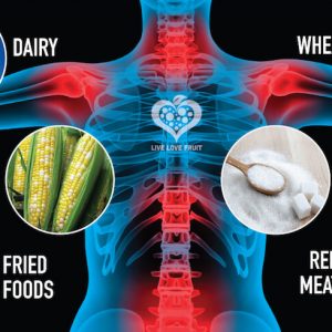body with different inflammation points and random images of different foods that cause it