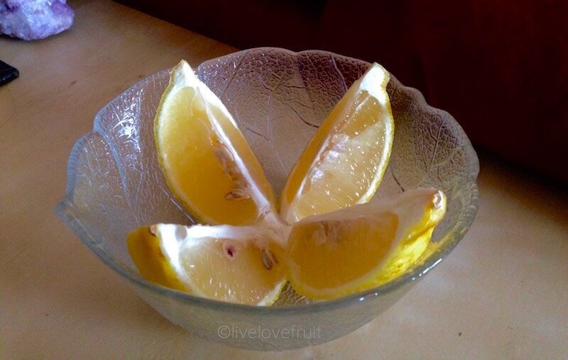 Sliced Lemons Beside Your Bed