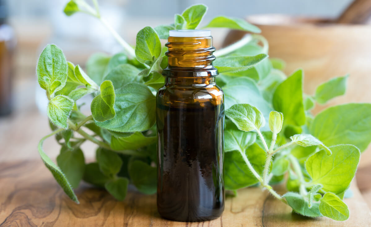 15 Health Benefits of Oregano Oil and How to Use It - Live Love Fruit