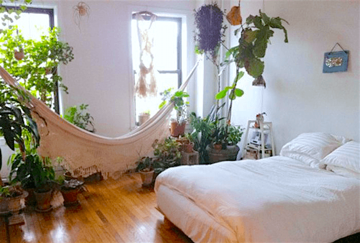 10 plants for your bedroom that will improve sleep quality and