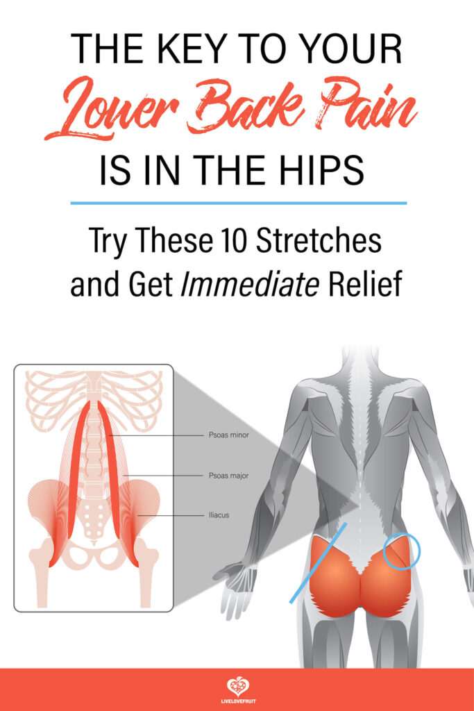 illustration of how tight hips contribute to lower back pain with text - the key to your lower back pain is in the hips - try these 10 stretches and get immediate relief