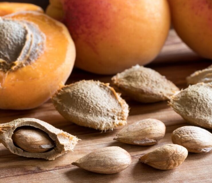 Apricot kernels and ripe apricots on a wooden background