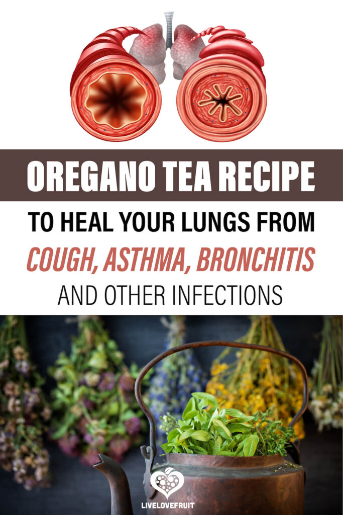 oregano tea with graphic of bronchitis with text - oregano tea recipe to heal your lungs from cough, asthma, bronchitis and other infections