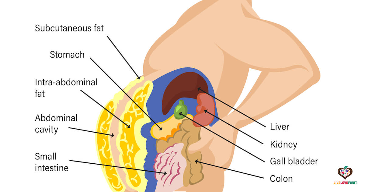 How to Eliminate Toxins From Fat Cells