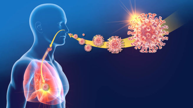 Coronavirus, human coronavirus OC43; lung infection, 3D illustration