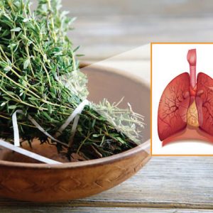 lung-cleansing herbs