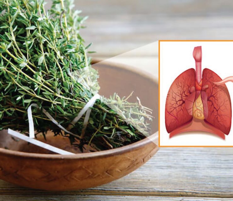 lung-cleansing herbs