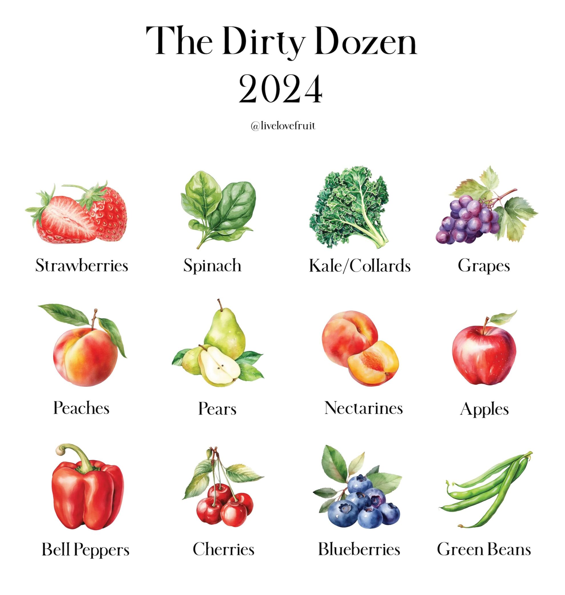 watercolour images of fruits and vegetables with title - "the dirty dozen 2024"