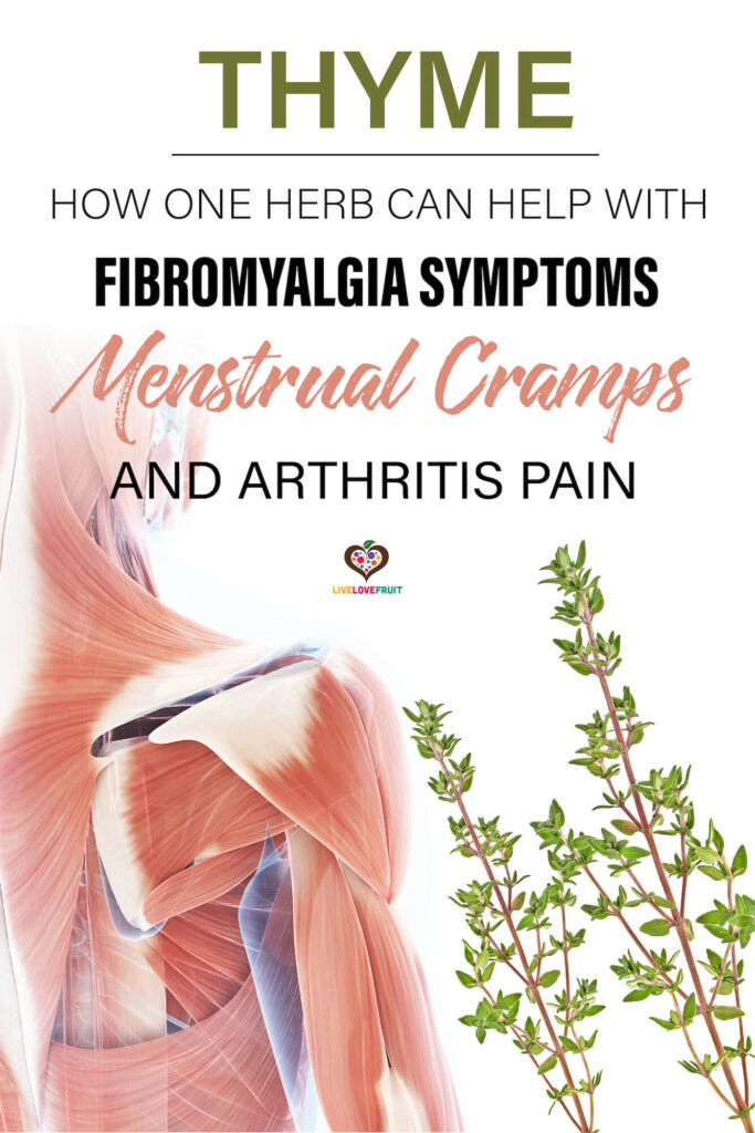 thyme next to shoulder graphic with text - thyme: how one herb can help with fibromyalgia symptoms, menstrual cramps and arthritis pain