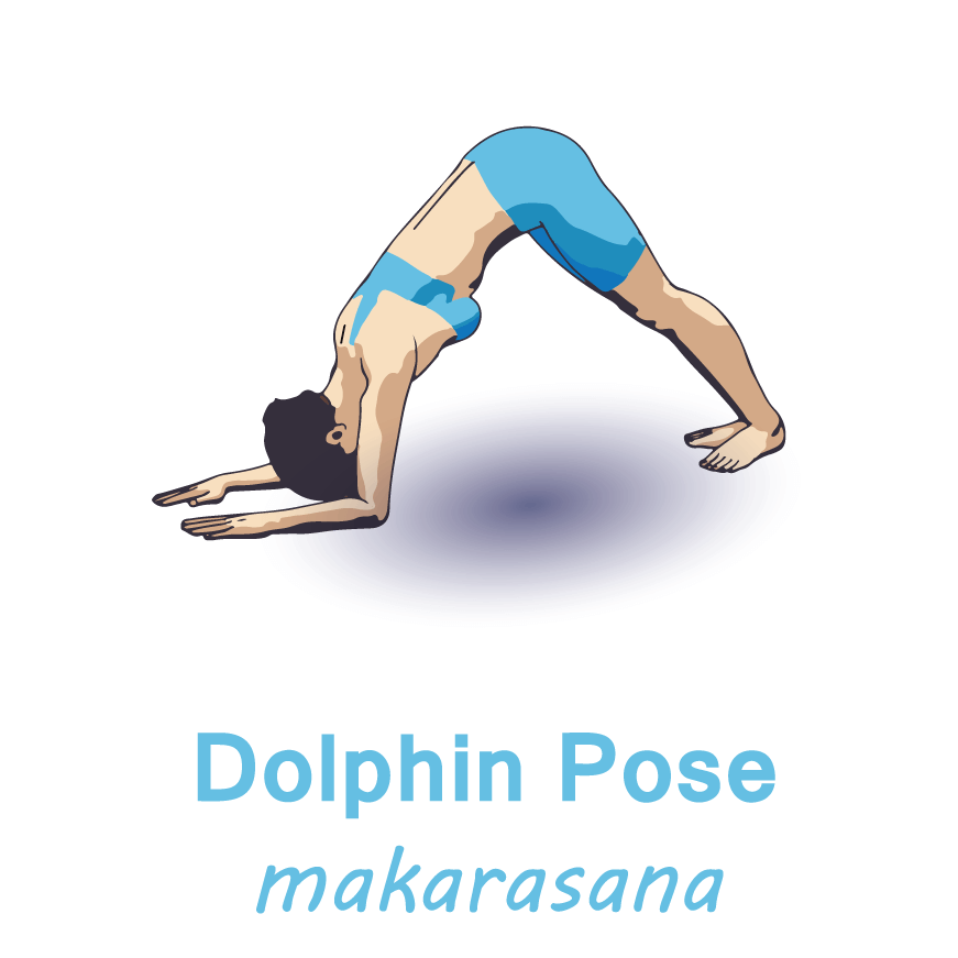 dolphin pose