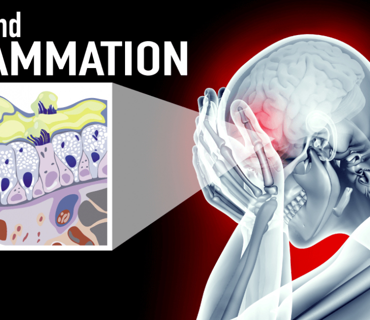 mucus and inflammation