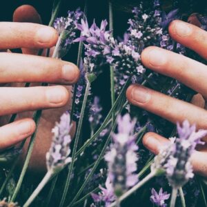 stress-busting essential oils