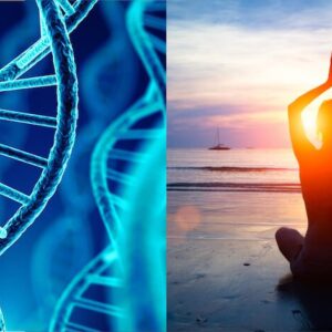 Yoga and Meditation Reverses DNA Damage