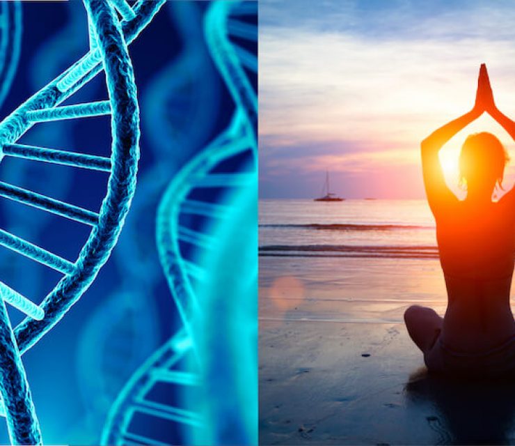 Yoga and Meditation Reverses DNA Damage