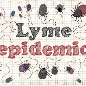 Natural Treatment Plan for Chronic Lyme Disease
