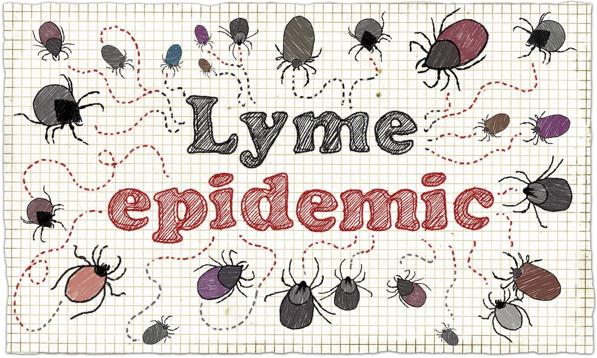 10 Step Natural Treatment Plan for Chronic Lyme Disease Patients