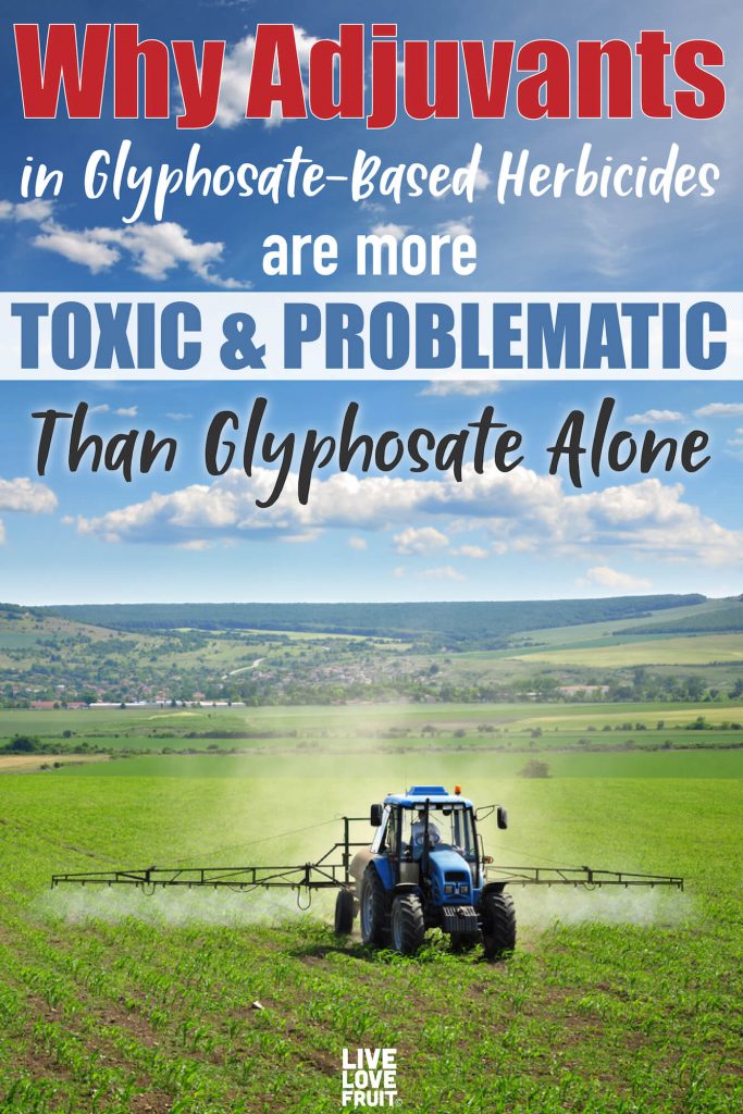 adjuvants in glyphosate-based herbicides